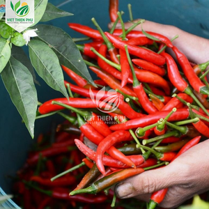 VIET THIEN PHU Chile Rojo Congelado de Vietnam, Grado Alimenticio para la Industria Alimentaria - Product Image 6
