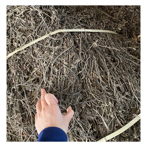 เยลลี่หญ้าแห้งแบบอร่อยใบหญ้าแห้งสีดำสำหรับพุดดิ้งใบวุ้นหญ้าดำจากเวียดนาม - Product Image 2