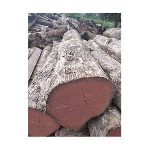 Tablas de Madera de Teca Resistentes a la Intemperie, Adecuadas para Muebles de Exterior - Product Image 4