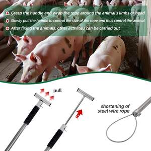 Portador de cerdos de alta calidad, nuevo 2025, personalizado con su propio logotipo, recogedor de cerdos veterinarios - Product Image 5