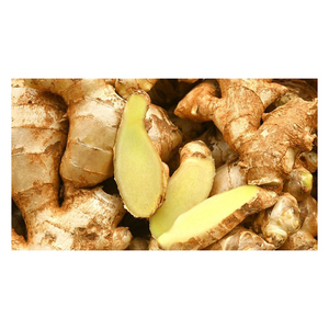 Proveedor mayorista de jengibre fresco Exportador de fábrica de jengibre de alta calidad al mejor precio para compradores globales Jengibre fresco a granel - Product Image 3