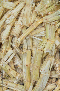 Polvo de Bagazo de Caña de Azúcar y Polvo de Fibra de Caña de Azúcar de Alta Calidad para Alimentación Animal en Vietnam - Product Image 5