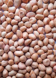 <strong>Java</strong> <strong>Peanut</strong> Premium Indian Groundnuts Large <strong>Kernel</strong> Crunchy High Protein Healthy Snack 100% Natural Freshly Harvested Sunrise - Product Image 2