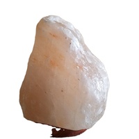 Lampe décorative en sel de roche himalayen blanc, cristal naturel sculpté, Feng Shui, pour chambre, bureau, table, lumière douce, relaxation, bien-être