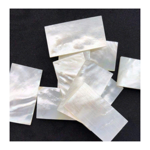 เปลือกหอยมุกเวียดนามแบบแผ่น สำหรับงานฝังตกแต่งเฟอร์นิเจอร์หรูหรา งานฝีมือ และการตกแต่ง - Product Image 3