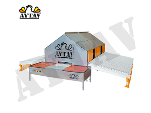 Sistema de Jaulas Reutilizables y Duraderas AYTAV para el Transporte de Aves Vivas en Granjas Avícolas - Product Image 2