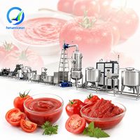 OCEAN Tomatenpuree Productielijn Kleine Tomatenpuree Verwerkingsmachine Tomatensausmachine