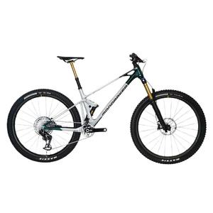 Meilleures ventes Vélo Carbon RR SL Argent blanc E-MTB Enduroz - Product Image 1