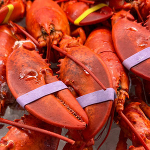 กุ้งมังกรแช่แข็งคุณภาพดีบริโภค - Product Image 2