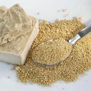 ยีสต์สดจำนวนมากยีสต์ธรรมชาติแบบแอกทีฟเหมาะสำหรับความต้องการในการผลิตอาหารเบเกอรี่และอุตสาหกรรม - Product Image 1