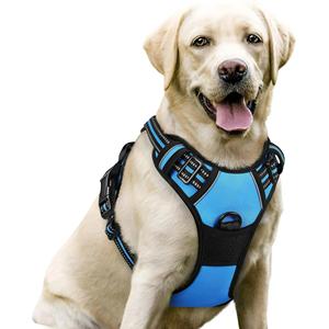 2025 nuevo conjunto de arnés y collar de correa para perros de materia prima Premium clásico superventas moda deportiva ajustable para perros al aire libre - Product Image 4