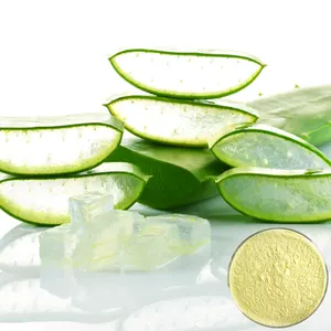 Polvo de aloe vera fresco natural de calidad seleccionada como materia prima para la producción de alimentos para especias y hierbas