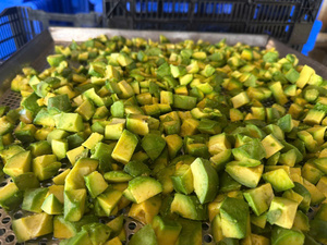 MEJOR AGUACATE CONGELADO DE GRADO DE EXPORTACIÓN-SUMINISTRO DE VIETNAM-CALIDAD SUPERIOR - Product Image 3