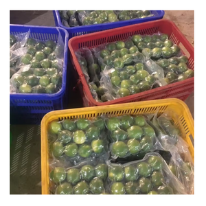 Rodajas de cítricos tratadas con IQF de Lima congelada de Vietnam que retienen el sabor y el color adecuados para uso culinario y minorista de jugo - Product Image 3