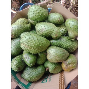 ผลไม้รสเปรี้ยวแช่แข็งสำหรับสมูทตี้น้ำผลไม้และขนมหวานราคาไม่แพงสำหรับผู้ซื้อขายส่ง - Product Image 3