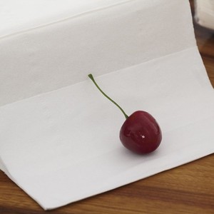 Papier de soie doux 3 plis de qualité supérieure absorbant doux écologique pour la maison hôtel restaurant en vrac exportation de gros - Product Image 4