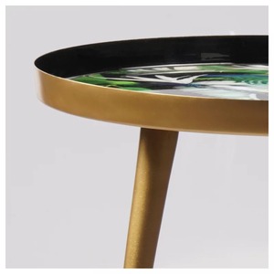 Table centrale imprimée feuille pour le salon Meilleure vente Nouveau design Table d'appoint tendance Vente à chaud Nouveau design Table tendance - Product Image 4