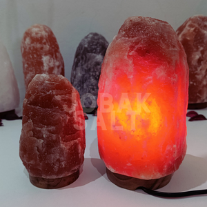 CE Certified Factory Direct Wholesale Himalayan Salt <b>Lamps</b> Reddish Tone with Feng Shui Style Carved Technique Custom Sizes - Product Image 2