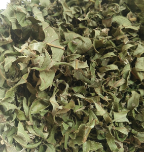 Hoja de Guayaba Seca de Alta Calidad de Vietnam, Ideal para Aplicaciones de Elaboración de Bebidas Aromáticas y Diversos Usos en la Preparación de Alimentos - Product Image 2
