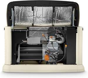 Nouveau Générateur de Secours Domestique Industriel DIY OEM UE 7043 22kW/19.5kW Refroidi par Air avec Composants Plastiques 200 Ampères pour Toute la Maison - Product Image 2