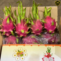 Premium Vers Drakenfruit Voor Groot-En Exportmarkten Uit Vietnam