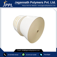 Clay White Paperboard with Grey Back Single Side PE Coating Duplex Board