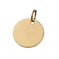 Étiquettes métalliques circulaires pour animaux de compagnie plaquées or personnalisées avec gravure de logo et nom