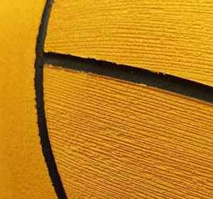 Diseño de logotipo personalizado de pelota de Waterpolo de calidad profesional - Product Image 2