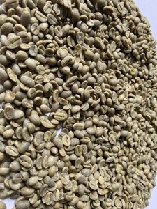 Proveedor al por mayor de granos de café verde Robusta de alta calidad, grado premium, 100% natural, al mejor precio de fábrica. ¡Compre ahora! - Product Image 4