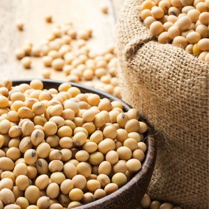 Pure Natural Fresh Sesame <b>Seeds</b> Premium Quality Size 14-32 Ready to Eat Tanzania 30-Day Shelf Life Dry & Cool <b>Storage</b> - Product Image 6