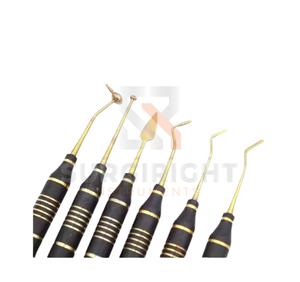 Instrumentos de relleno compuestos recubiertos de negro profesional, juego de herramientas restaurativas dentales antiadherentes a precio de venta completo de Surgiright - Product Image 1