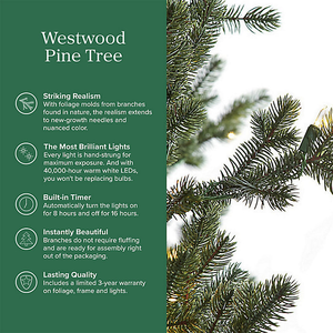 (EF) <b>Digital</b> <b>Camera</b> Wholesles Ricohhs Gr Iii 1080p 24.2mp F-2.8 Compact - Product Image 2