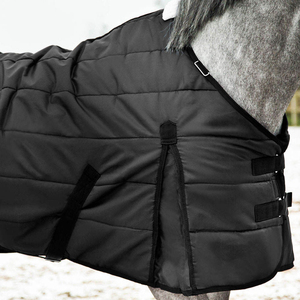 Forte légère cheval Combo participation mouche tapis coton-rempli équestre couverture cou ventre Protection toile laine fabriqué - Product Image 5
