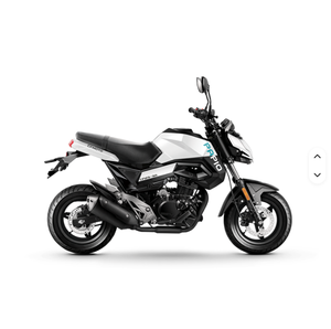 Motocicleta todoterreno nueva de la marca CFMOT_O ST PAPIO 2024, motocicleta de aventura todoterreno, modelo CFMOT_O ST PAPIO - Product Image 1