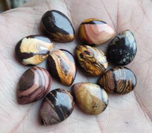 Venta al por mayor Shivoham Jewels Natural Biggs Jasper Teardrop Pear Cut Cabochon Green Flat Back Piedras preciosas calibradas US Origin Tallas - Product Image 5