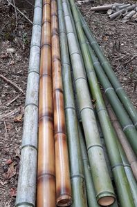 Poteaux en bambou de fabrication du Vietnam de haute qualité avec la taille adaptée aux besoins du client/tubes en bambou naturels de poteau en vrac - Product Image 4