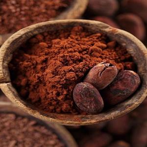 Premium Food Grade Natural Alkalized <b>Cocoa</b> Powder Rich Flavor with Fast Delivery Competitive Wholesale Price Packaged in Bag - Product Image 2