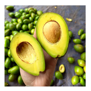 Aguacate congelado de Vietnam Grado superior para postres de batidos y aplicaciones alimentarias saludables Suministro mundial - Product Image 6