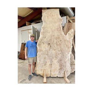 Naturalveneer Mappa Burl <b>Log</b> <b>Decorative</b> Veneers Premium Product Category - Product Image 3