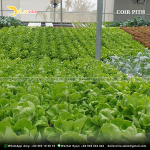 COCO <span class=keywords><strong>torba</strong></span> buon prezzo COCO <span class=keywords><strong>torba</strong></span> terriccio <span class=keywords><strong>torba</strong></span> sacchetti organici per piante e semi fatti IN VIETNAM - Product Image 6