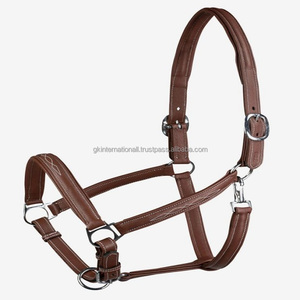 Licol pour cheval en cuir de selle 100% authentique, surpiqûres contrastées, avec col et nez réglables, accessoires en argent de qualité supérieure - Product Image 2