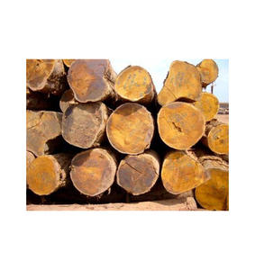 Troncos de madera de nogal al por mayor con un contenido de humedad inferior al 12 por ciento, secados en horno para evitar la deformación y el agrietamiento durante el transporte. - Product Image 4