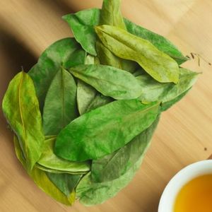 ใบ soursop แห้งการเก็บเกี่ยวอย่างยั่งยืน xanadu พืชป่าสด graviola guanabana ผลไม้ชา tisane - Product Image 6