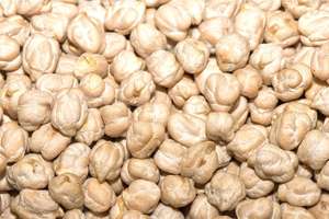 Garbanzos Blancos Kabuli de 12 mm, los Más Vendidos, Secos, en Empaque a Granel, Precio Competitivo, de la India, en Venta - Product Image 6