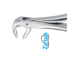 คีมสกัดสารสกัดจากสแตนเลส75L ผู้ส่งออกและผู้ผลิต - Product Image 4