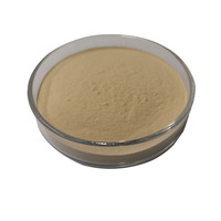 Poudre d'extrait de Notoginseng de qualité alimentaire en vrac, extrait par solvant, ingrédients naturels de pseudo-ginseng de qualité supérieure, fourniture OEM