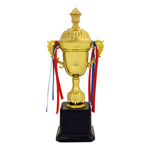 Nuevo trofeo de plástico personalizado para uso profesional Premio de evento corporativo hecho a medida - Product Image 1