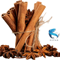 Vietnam branche coupe cassia cannelle de qualité supérieure Hot seeling fournitures prix bâton de cannelle cannelle de fabrication vietnam