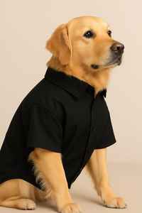 เสื้อสีดำสำหรับสุนัข - Product Image 2