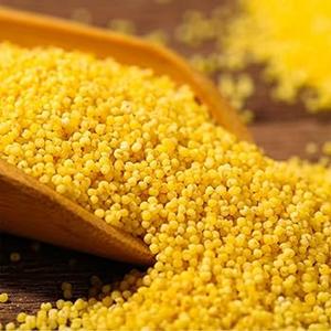 Millet français de haute qualité, nouvelle récolte, jaune, non glutineux, séché, cuit à la vapeur, sans gluten, riche en protéines, qualité alimentaire - Product Image 1